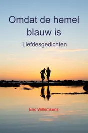 Omslag van Omdat de hemel blauw is