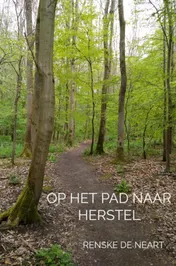 Omslag van Op het pad naar herstel