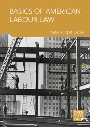 Omslag van Basics of American Labour Law