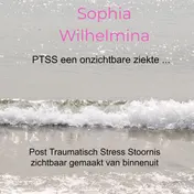 Omslag van PTSS een onzichtbare ziekte ...