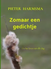 Omslag van Zomaar een gedichtje