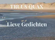 Omslag van Lieve Gedichten