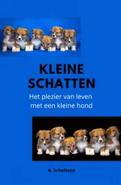 Omslag van Kleine Schatten