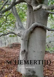 Omslag van SCHEMERTIJD