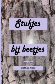 Omslag van Stukjes bij beetjes