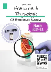 Omslag van Anatomie Physiologie Band 03: Endokrines System