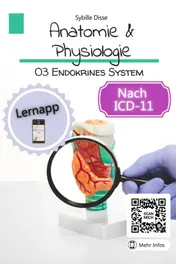 Omslag van Anatomie Physiologie Band 03: Endokrines System