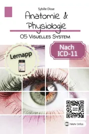 Omslag van Anatomie & Physiologie Band 05: Visuelles System