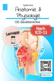 Omslag van Anatomie & Physiologie Band 06: Gehörsystem