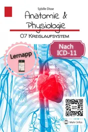 Omslag van Anatomie & Physiologie Band 07: Kreislaufsystem