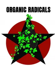 Omslag van Organic Radicals
