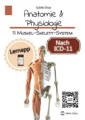 Omslag van 11: Muskel-Skelett-System