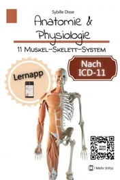 Omslag van Anatomie & Physiologie Band 11: Muskel-Skelett-System