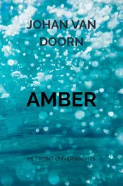 Omslag van Amber