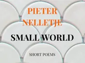 Omslag van SMALL WORLD