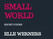 Omslag van SMALL WORLD