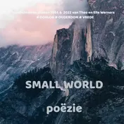 Omslag van SMALL WORLD