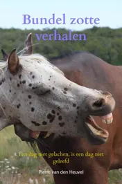 Omslag van Bundel zotte verhalen