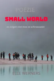 Omslag van SMALL WORLD
