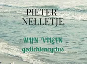 Omslag van MIJN VILEIN