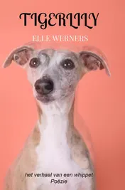Omslag van TIGERLILY