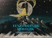 Omslag van Een Goddelijk Huwelijk