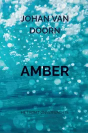 Omslag van Amber