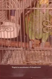 Omslag van Kooivogels veroorzaken longkanker bij de mens.