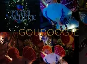 Omslag van GOUDOOGJE
