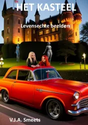 Omslag van Het kasteel