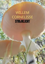 Omslag van Strijklicht