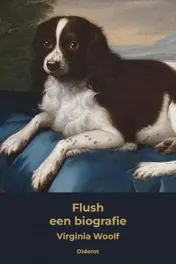 Omslag van Flush