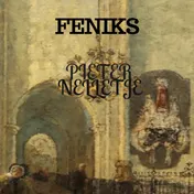 Omslag van FENIKS