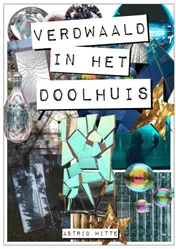 Omslag van Verdwaald in het doolhuis