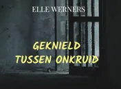 Omslag van GEKNIELD TUSSEN ONKRUID