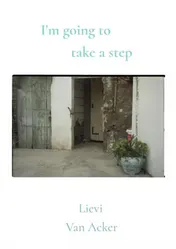 Omslag van I'm going to take a step