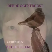 Omslag van DERDE OGENTROOST