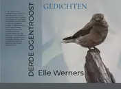 Omslag van DERDE OGENTROOST