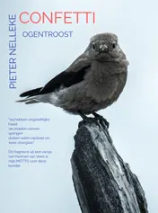 Omslag van OGENTROOST