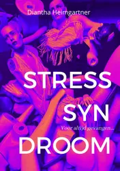 Omslag van Stresssyndroom