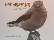 Omslag van EENDAGSVLIEG