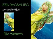 Omslag van EENDAGSVLIEG