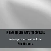 Omslag van IK KIJK IN EEN KAPOTTE SPIEGEL