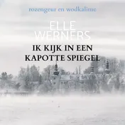 Omslag van IK KIJK IN EEN KAPOTTE SPIEGEL