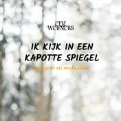 Omslag van IK KIJK IN EEN KAPOTTE SPIEGEL