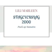 Omslag van STAGEVERSLAG 2000