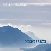 Omslag van Als in een cryptische spiegel