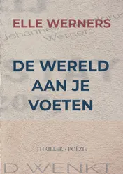 Omslag van DE WERELD AAN JE VOETEN