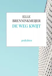Omslag van DE WEG KWIJT