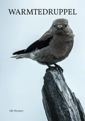 Omslag van WARMTEDRUPPEL